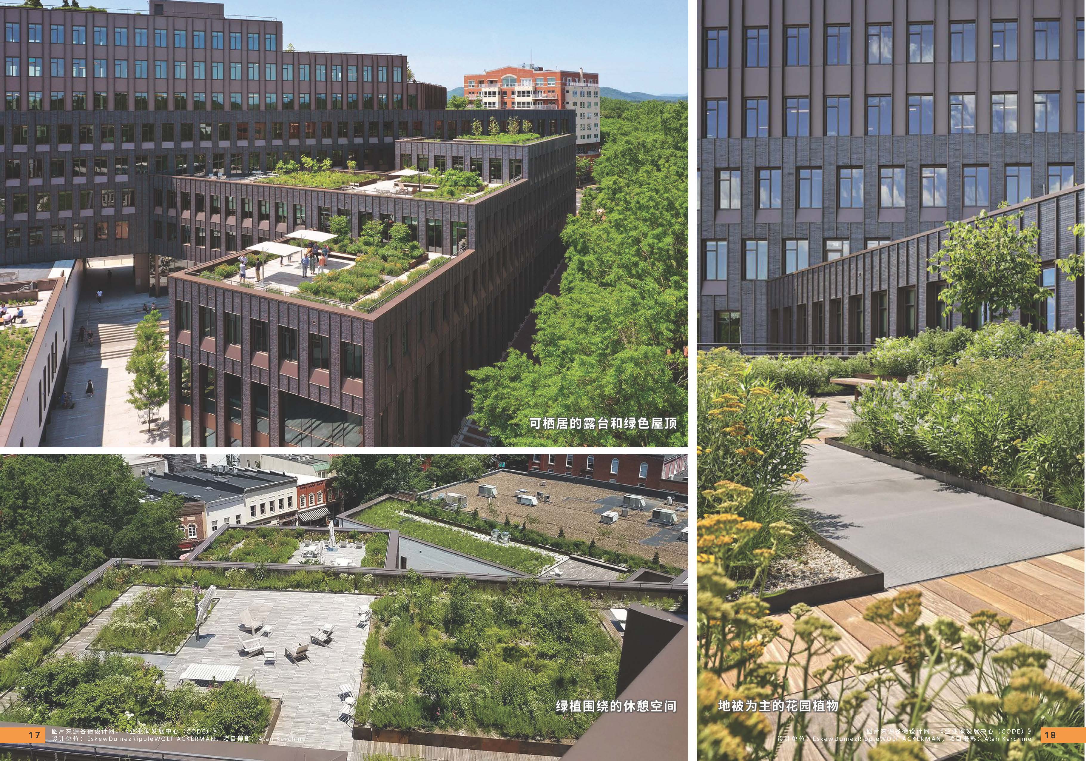 10期设计力量 第五立面 商业（局官网）-更新_页面_11.jpg