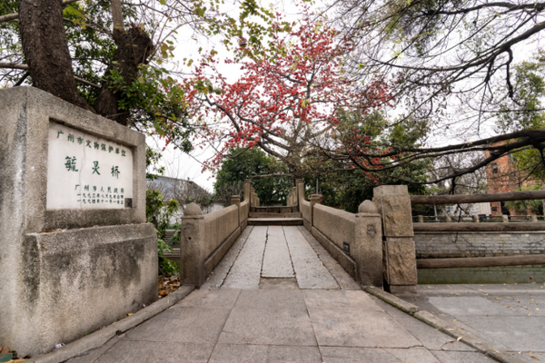 图片 9_调整大小.png