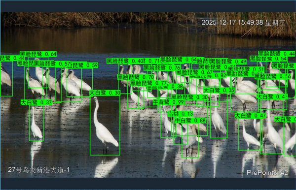 图片 5_调整大小.png